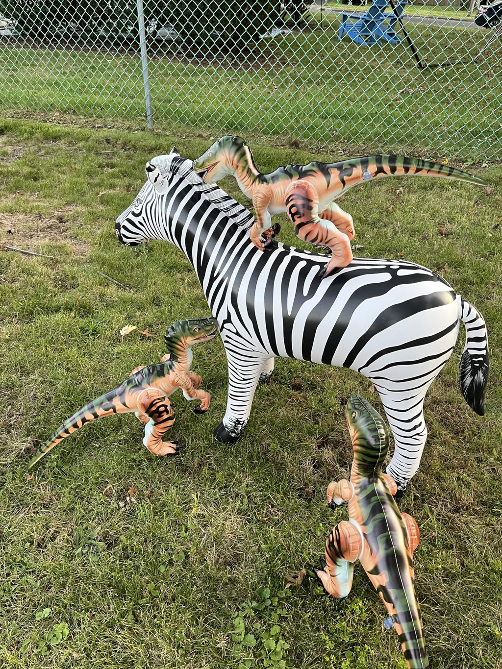 Inflatable Raptor Pack Dinosaur Three Pack Marvel of Prehistoric Fun! Standing at an Impressive 24 inches in Length Each and 16 inches Tall.