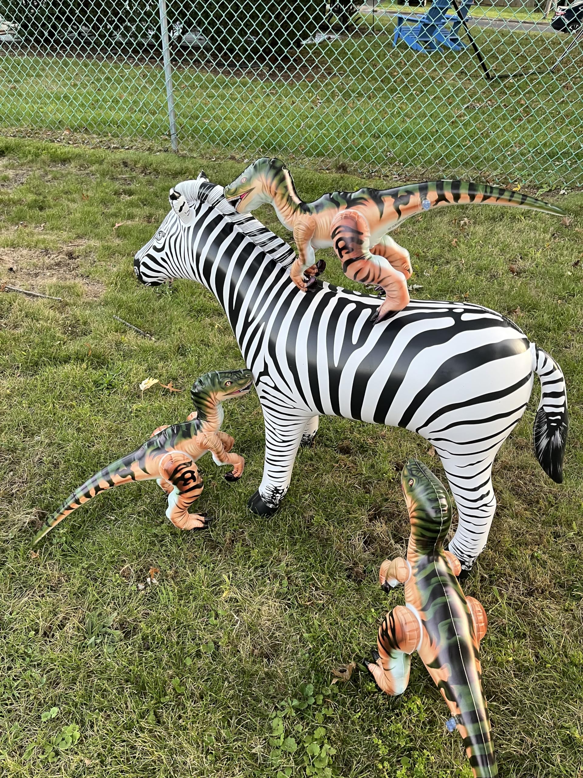 Inflatable Raptor Pack Dinosaur Three Pack Marvel of Prehistoric Fun! Standing at an Impressive 24 inches in Length Each and 16 inches Tall.