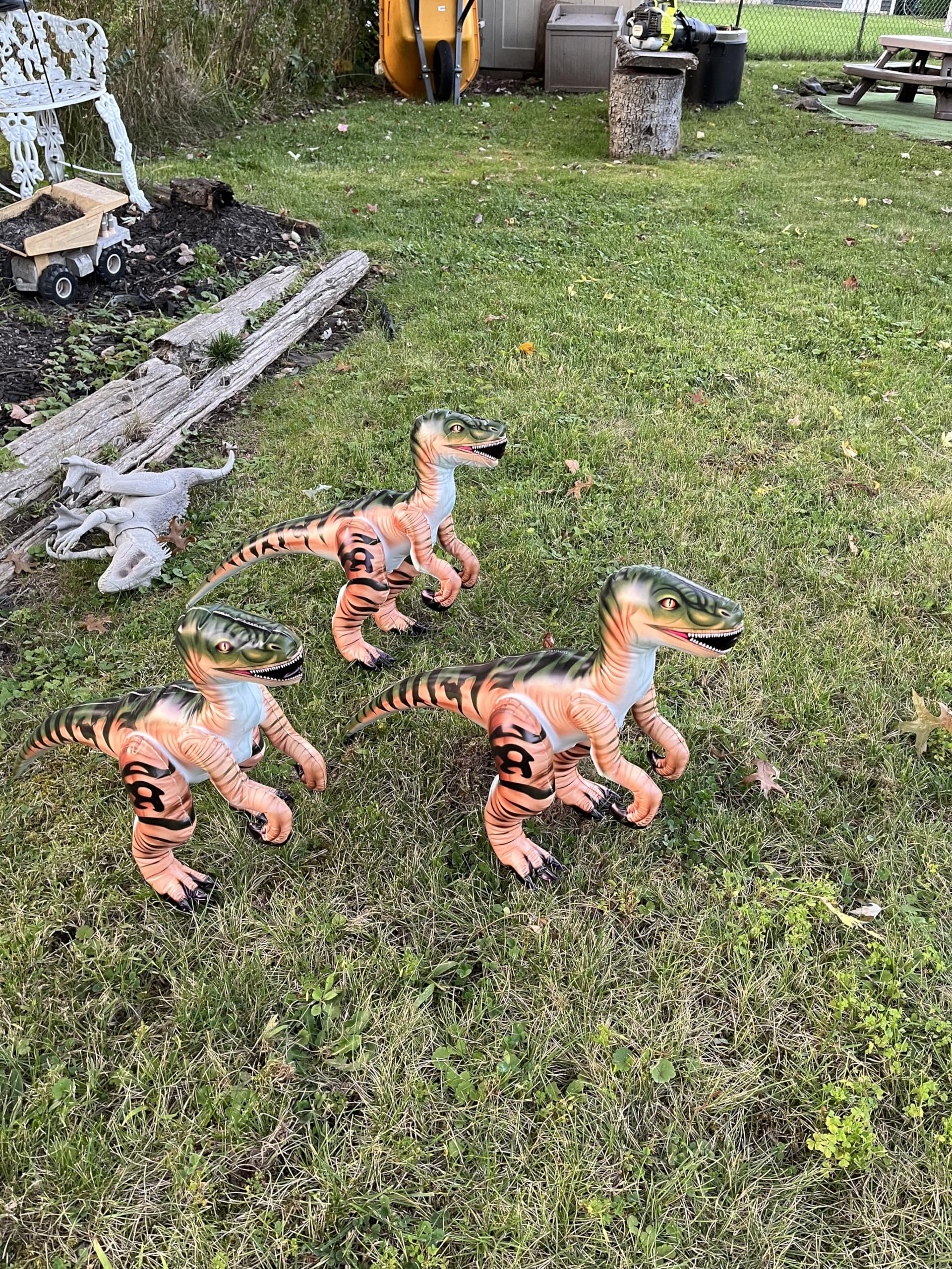 Inflatable Raptor Pack Dinosaur Three Pack Marvel of Prehistoric Fun! Standing at an Impressive 24 inches in Length Each and 16 inches Tall.