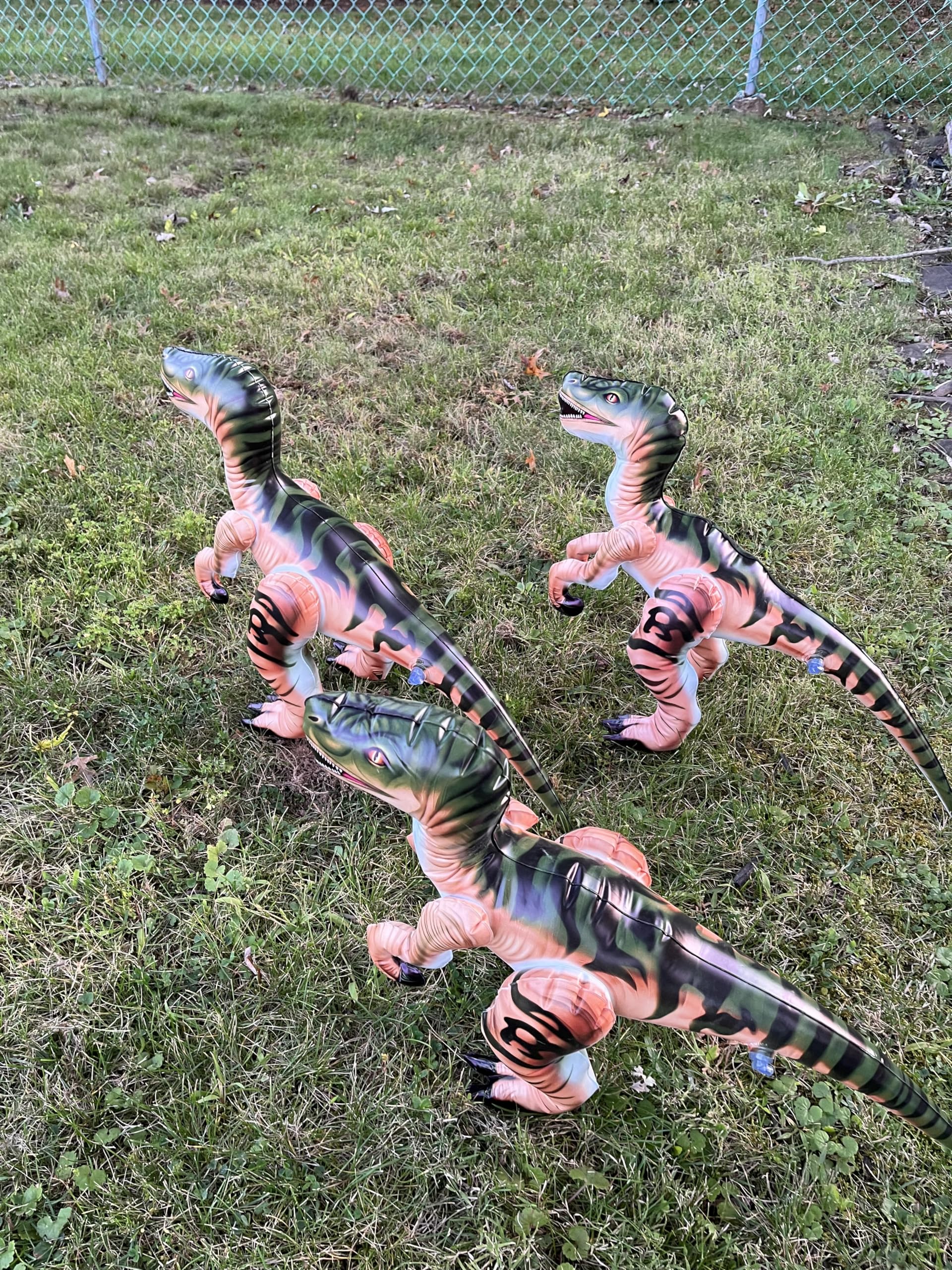 Inflatable Raptor Pack Dinosaur Three Pack Marvel of Prehistoric Fun! Standing at an Impressive 24 inches in Length Each and 16 inches Tall.