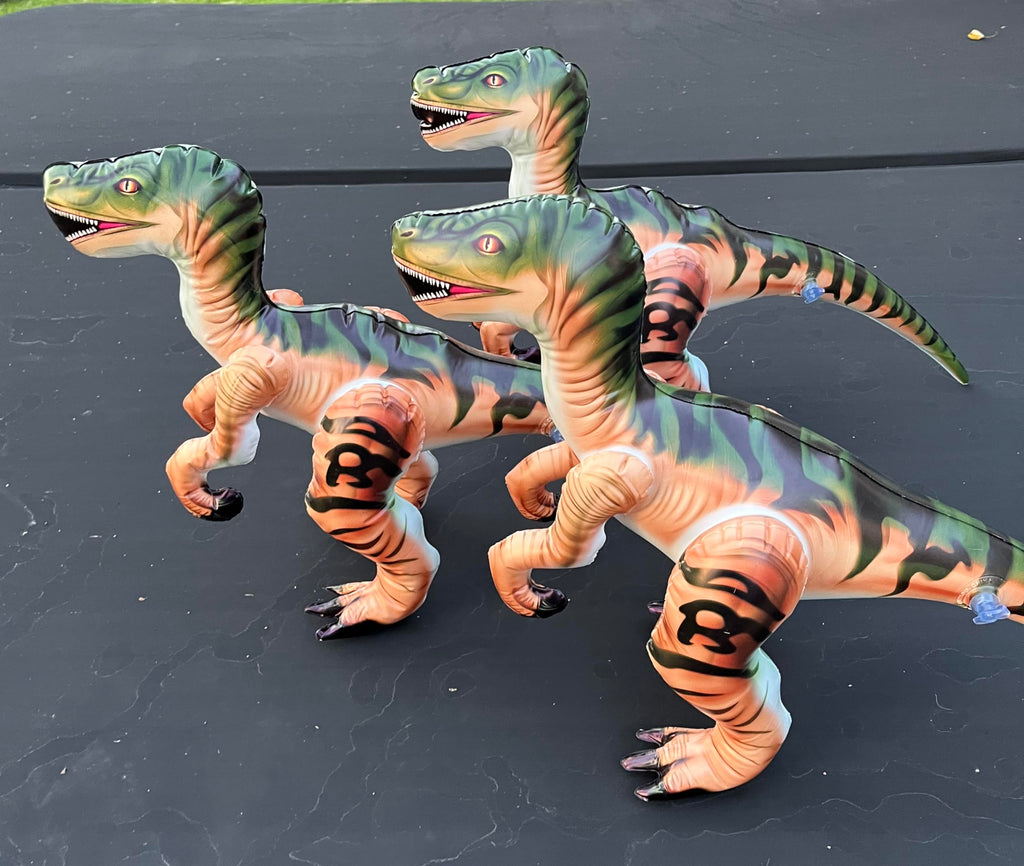 Inflatable Raptor Pack Dinosaur Three Pack Marvel of Prehistoric Fun! Standing at an Impressive 24 inches in Length Each and 16 inches Tall.