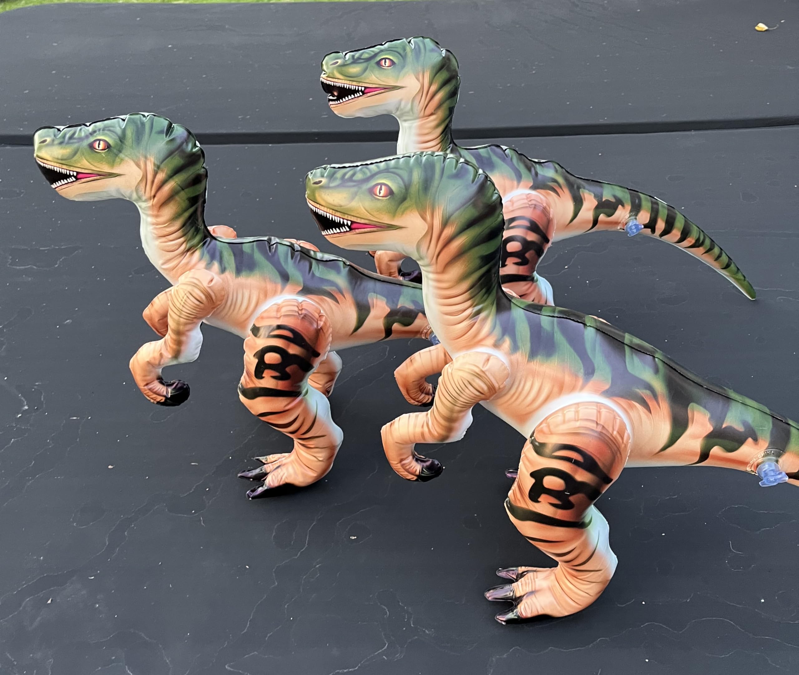 Inflatable Raptor Pack Dinosaur Three Pack Marvel of Prehistoric Fun! Standing at an Impressive 24 inches in Length Each and 16 inches Tall.